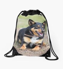 Missy... Young Kelpie....looking on... Drawstring Bag