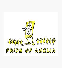 Norwich City Fc Wall Art Redbubble