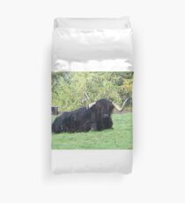 Schwarzer Highland Coo Bettbezug