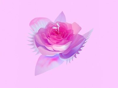 Pink Background Flower (aesthetic)