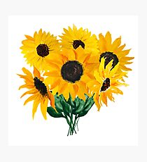 Painted sunflower bouquet Photographic Print