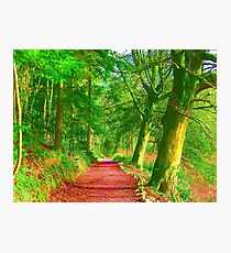 Pop Art Path Photographic Print