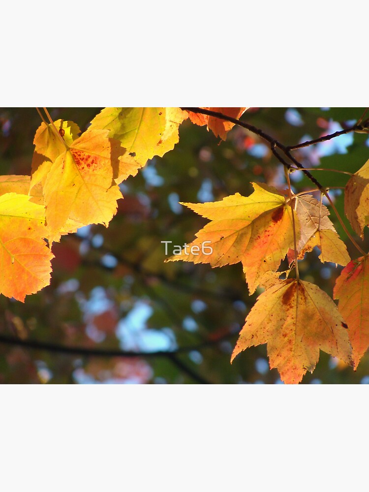 Delicious Autumn by Tate6