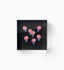 Air Balloons on Black Acrylic Block