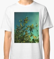 rosebush branches 10/20/17 Classic T-Shirt