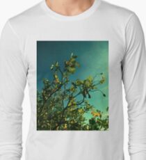 rosebush branches 10/20/17 Long Sleeve T-Shirt
