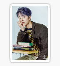 Pegatina moonbin astro dream part2