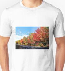 Autumn Along Route 705 Unisex T-Shirt