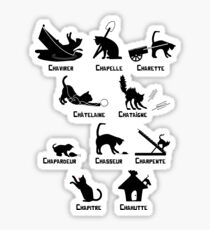 Chat c'est drôle Sticker