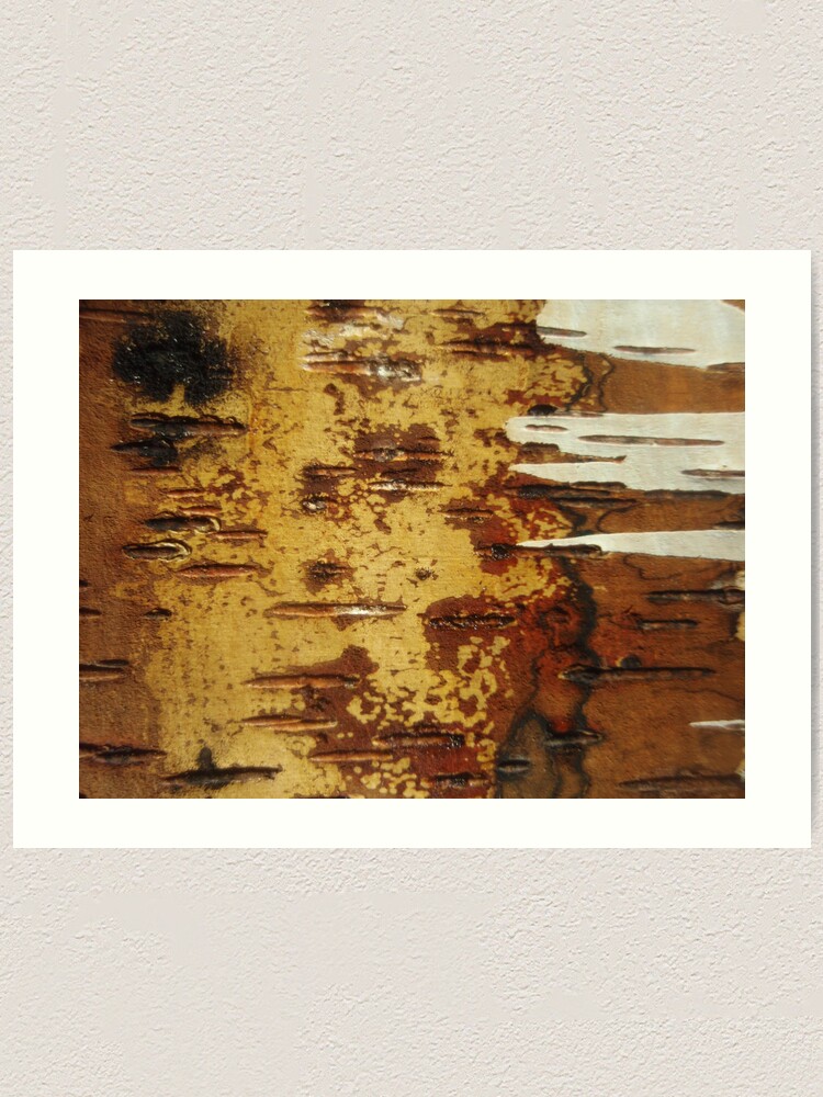 Alternate view of inside out white birch Art Print