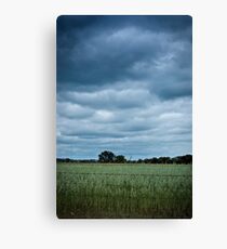 Wheatbelt Canvas Print