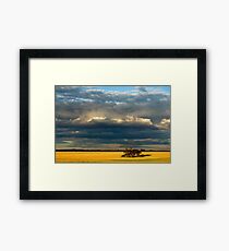 Golden fields Framed Print