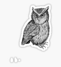 Eule Sticker