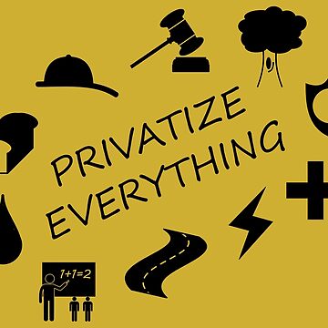 The Privatization of Everything