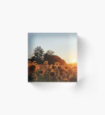 Sunflower Field Acrylic Block