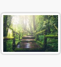 Enchanted Wood Sticker