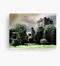 Blarney Castle Canvas Print