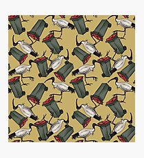 Bin Chicken - Mustard Photographic Print