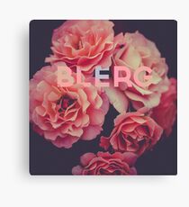 Blerg II Canvas Print