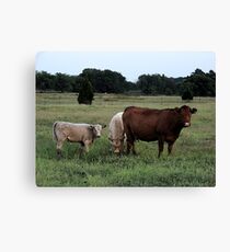 Country Bumpkins Canvas Print