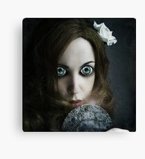 Mirror, Mirror Canvas Print