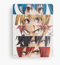 Fairy Tail eyes Metal Print