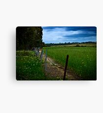 Wheatbelt Canvas Print