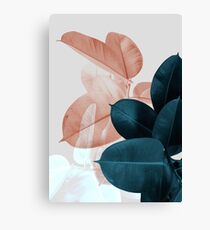 Blush Pink Plant Leaves, Botanical Leaf Canvas Print
