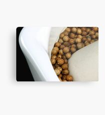 Coriander Metal Print