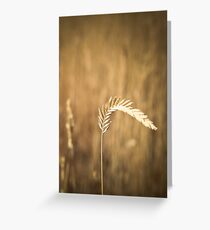 Simple Life Greeting Card