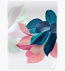 Blue Pink Plant Leaf Poster
