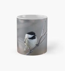 Black Capped Chickadee Mug