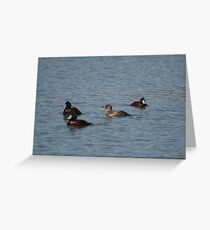 Telling them all about it Greeting Card