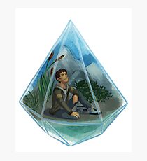 Paladin Terrarium - Blue Photographic Print