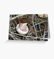 Tipping Point Greeting Card