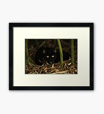 Mary the Cat Framed Print