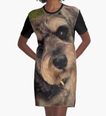 Colin Graphic T-Shirt Dress