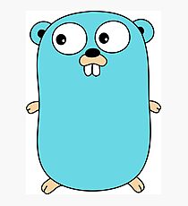 Golang Logo Photographic Print