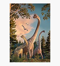 Brachiosaurus Spaziergang Fotodruck