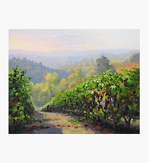 Sunrise Harvest Photographic Print