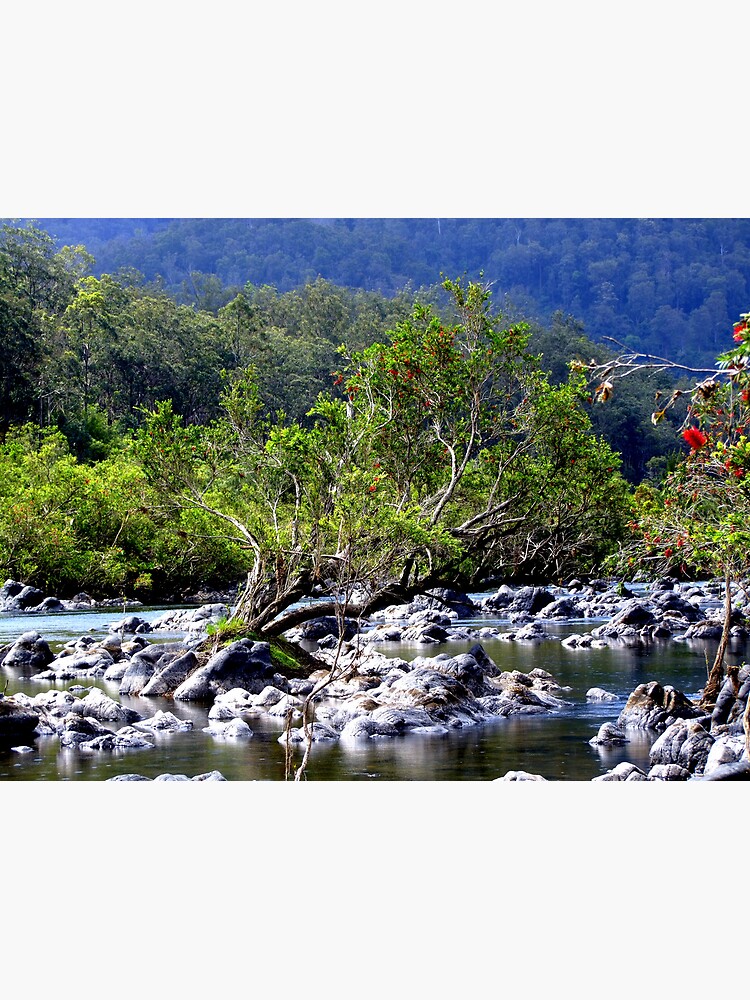 Nymboida River by theoddshot