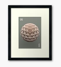 05 Framed Print
