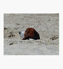 Undercover Agent Photographic Print