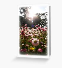Wildflower Greeting Card