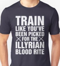 A Court of Mist and Fury, Illyrian Warriors, Rhysand, Feyre, Feysand, Train Like Unisex T-Shirt