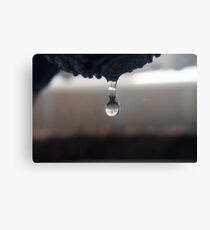 One drop Canvas Print