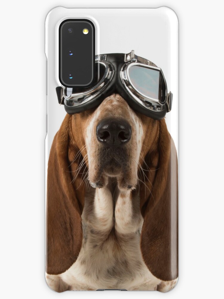 dog wearing goggles