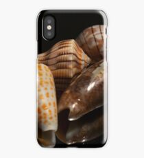 Florida Seashells iPhone Case
