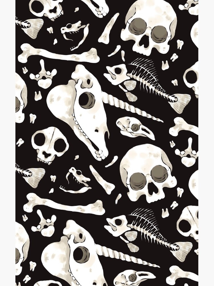 black Skulls and Bones - Wunderkammer by fabiomancini