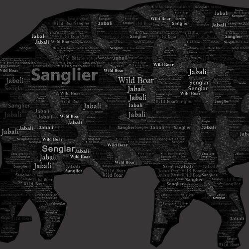 Sweat & T-Shirt « Sanglier Texte »
